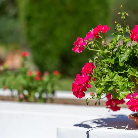 Holiday home Tirana Pollenca